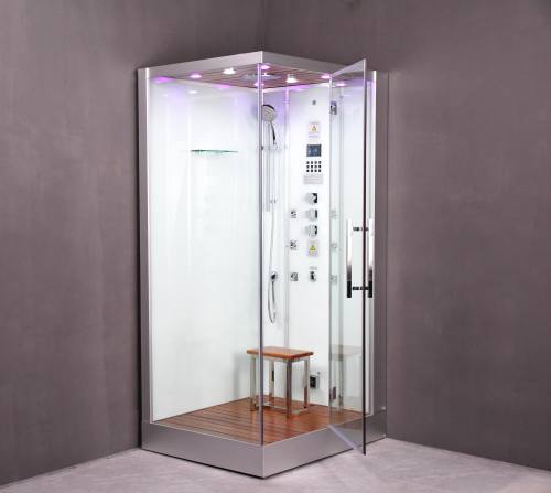 Platinum DZ959F8 Steam Shower