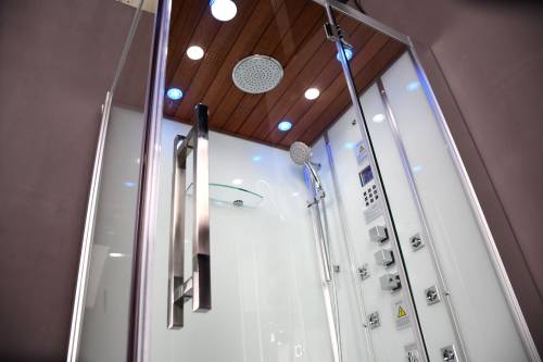 Platinum DZ959F8 Steam Shower