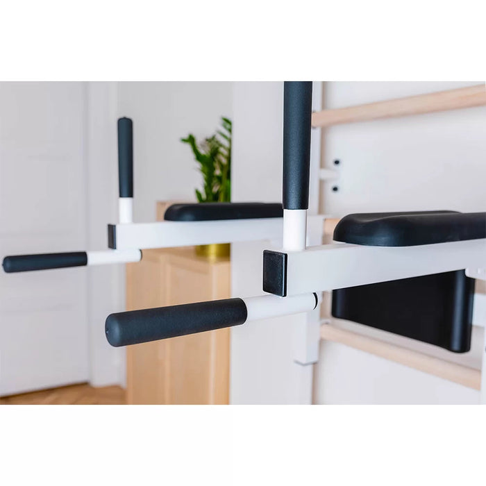 BenchK Gymnastic Ladder For Home Gym or Fitness Room