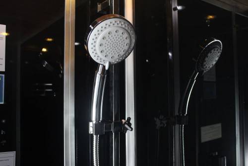 Platinum DZ959F8 Steam Shower