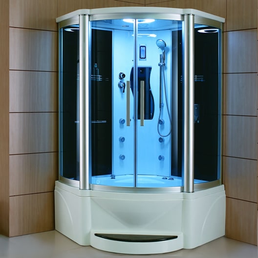 Image of Mesa WS-609P Steam Shower - Exterior view