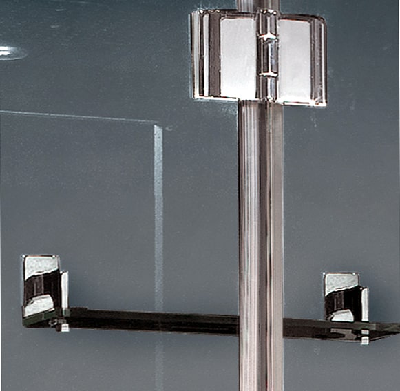 Image of shower tempered glass shelves and door hinge